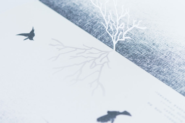 shadow-book-motion silhouette-11