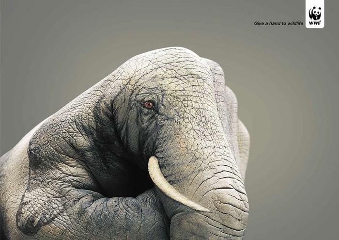 social-awareness-powerful-animal-ads-43
