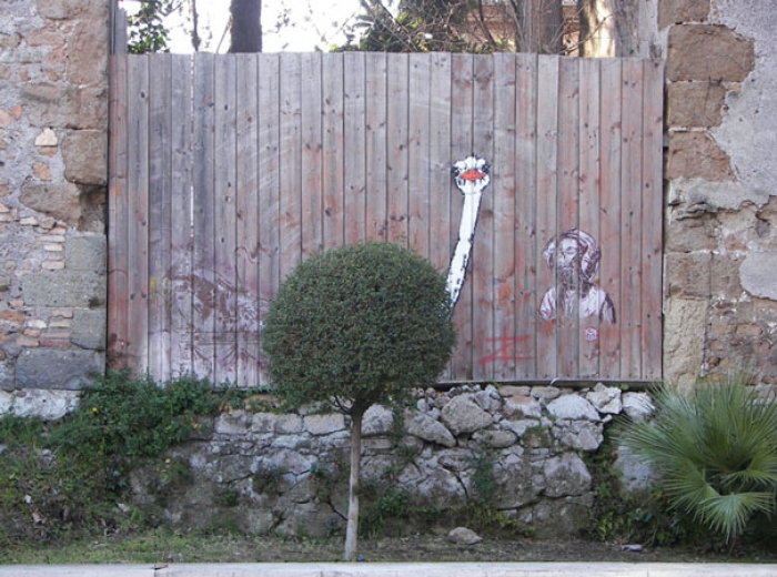 street-art-interacting-with-nature-surroundings-37