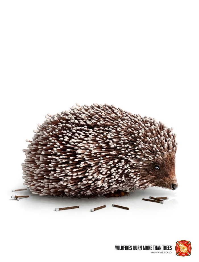 social-awareness-powerful-animal-ads-54