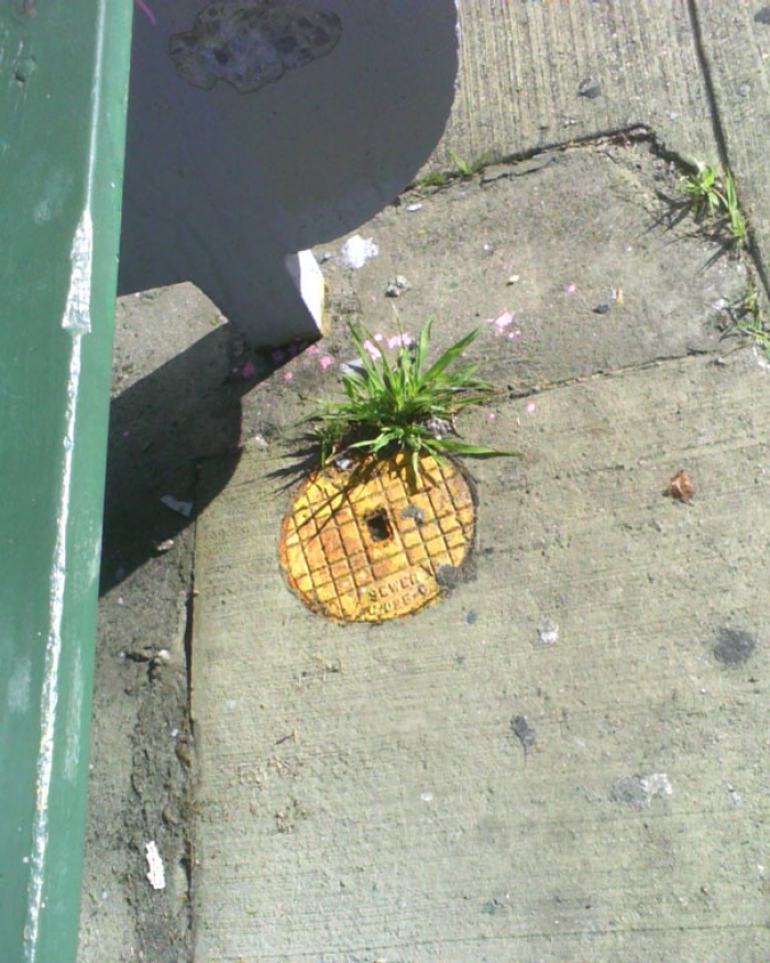 street-art-interacting-with-nature-surroundings-45