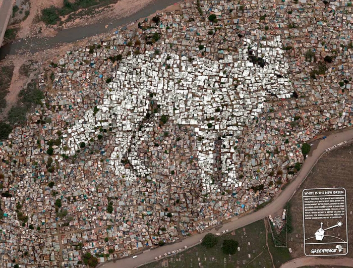 social-awareness-powerful-animal-ads-60