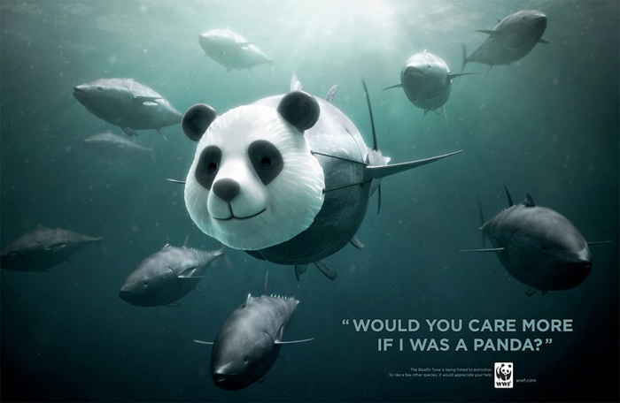 social-awareness-powerful-animal-ads-62