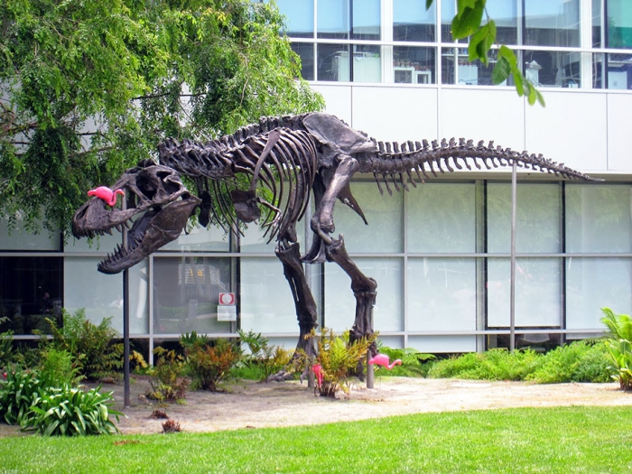 google-campus-dinosaur-stan-flamingos-3