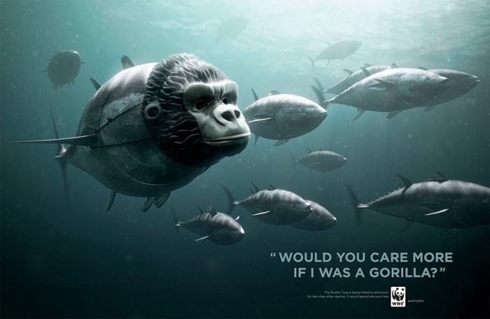 social-awareness-powerful-animal-ads-64