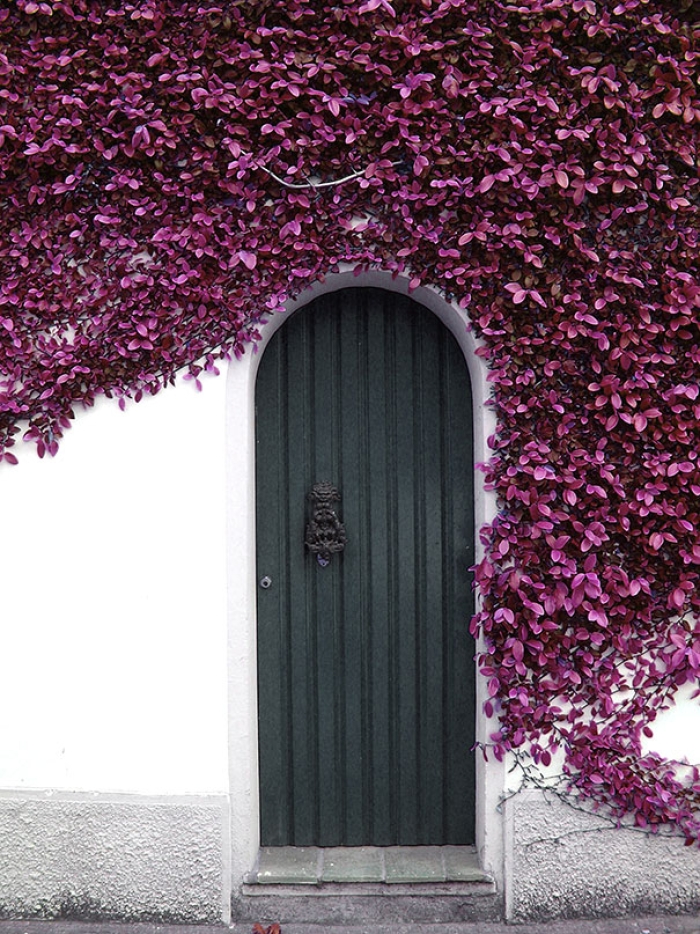 doors-door-decorations-exterior-design-art-15