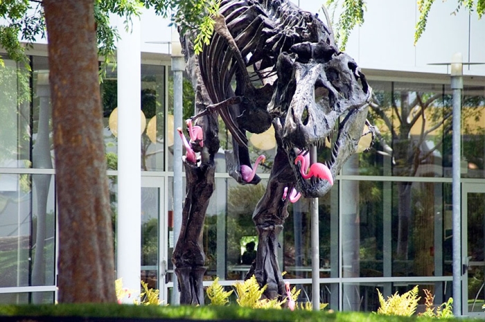 google-campus-dinosaur-stan-flamingos-6