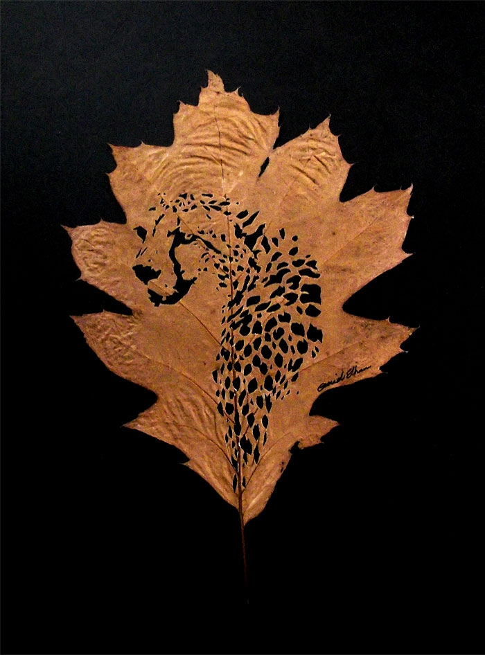 intricate-leaf-cuttings-omid-asadi-5