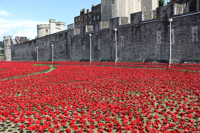 ceramic-poppies-installation-first-world-war-london-tower-2