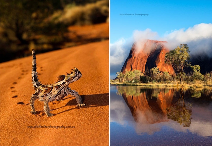 wild-nature-landscape-photography-australia-julie-fletcher-29