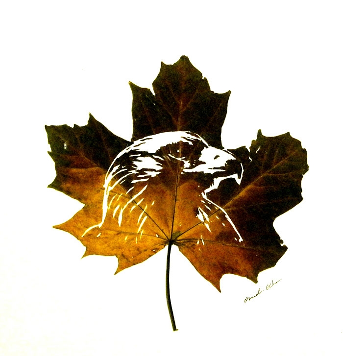 intricate-leaf-cuttings-omid-asadi-7