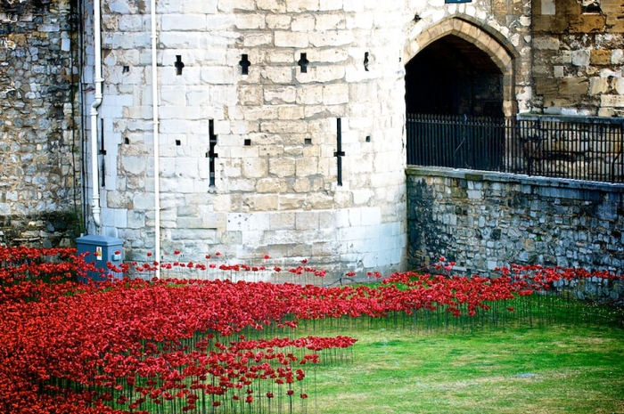 ceramic-poppies-installation-first-world-war-london-tower-6