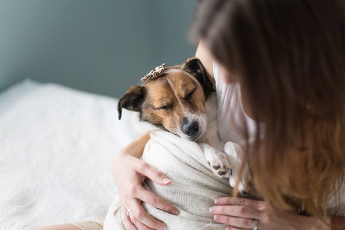 snuggles-dog-baby-photos-count-it-joy-photography-jamie-clauss-3