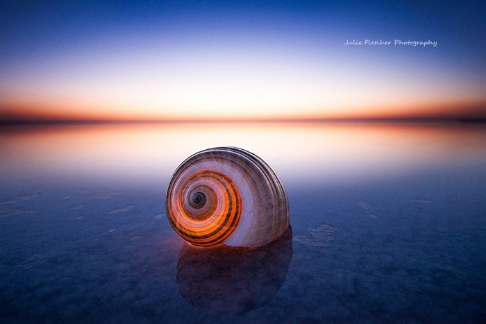 wild-nature-landscape-photography-australia-julie-fletcher-12