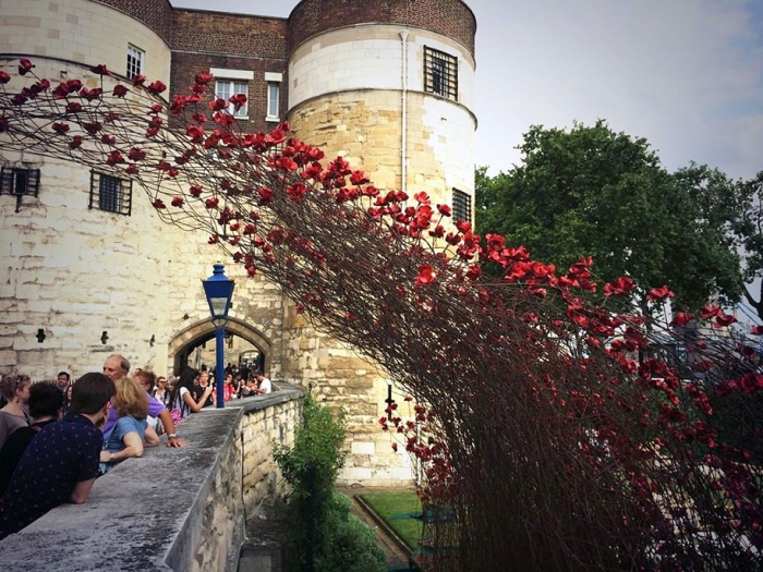 ceramic-poppies-installation-first-world-war-london-tower-7