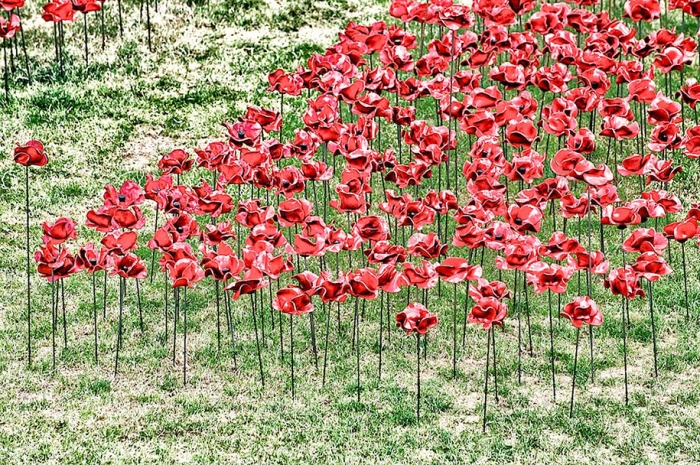 ceramic-poppies-installation-first-world-war-london-tower-9