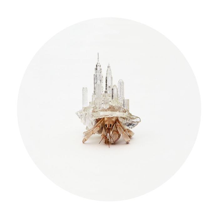 3d-printed-hermit-crab-shells-aki-inomata-4