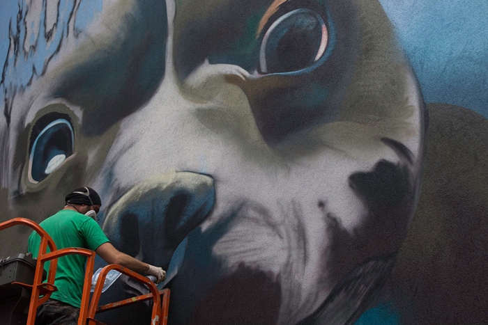 underwater-dog-mural-belgium-bart-smeets-smates-3