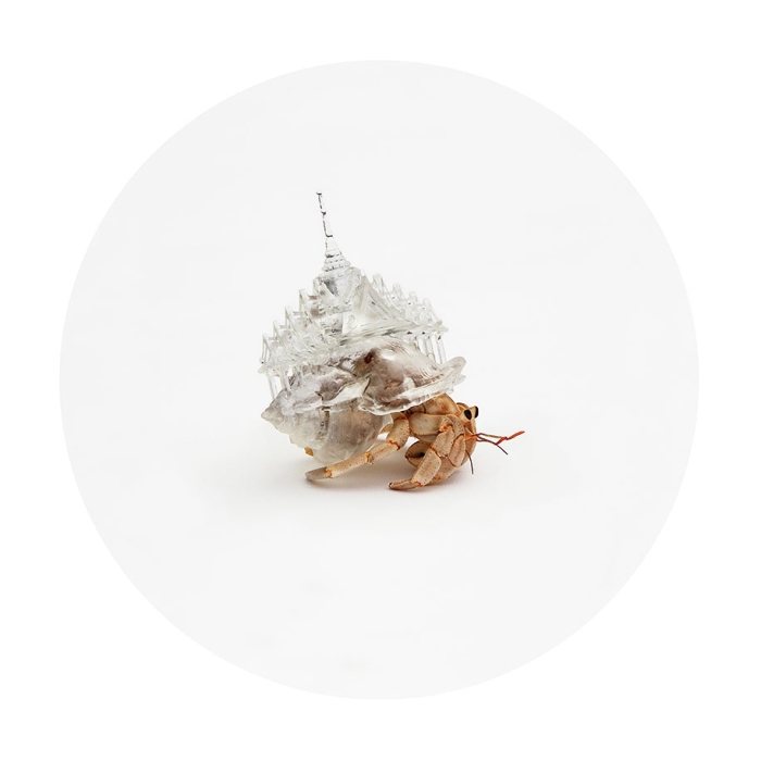 3d-printed-hermit-crab-shells-aki-inomata-2