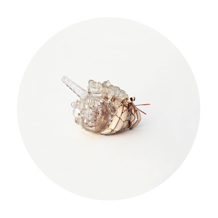 3d-printed-hermit-crab-shells-aki-inomata-3