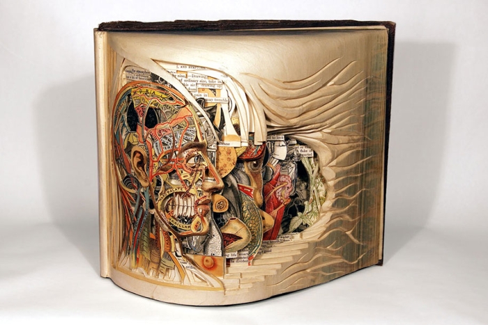 book-surgeon-carvings-art-brian-dettmer-38