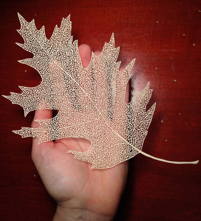delicate-cut-paper-art-illustrations-maude-white-1