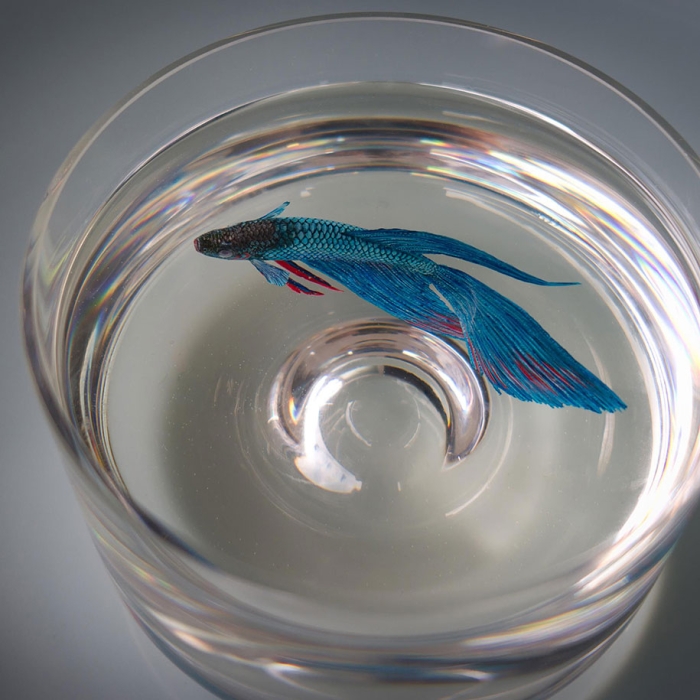 optical-illusion-3d-fish-resin-painting-keng-lye-3