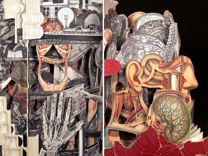 book-surgeon-carvings-art-brian-dettmer-36
