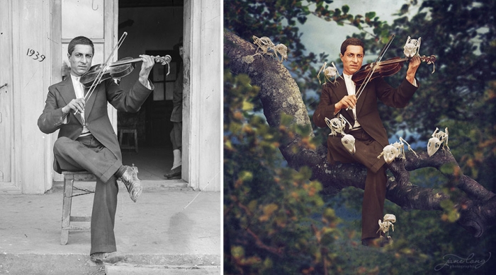 dancing-with-costica-recoloured-glass-plate-photos-jane-long-1