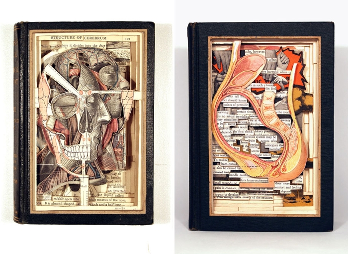 book-surgeon-carvings-art-brian-dettmer-30