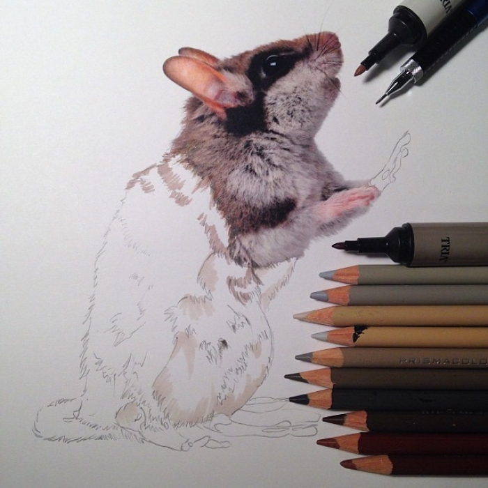 mixed-media-realistic-drawings-karla-mialynne-17