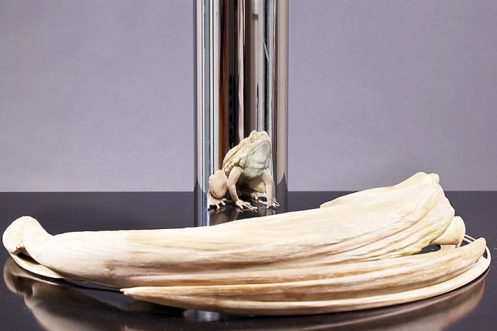 anamorphosis-anamorphic-cylinder-art-5