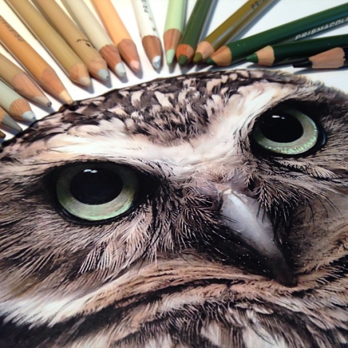 mixed-media-realistic-drawings-karla-mialynne-3