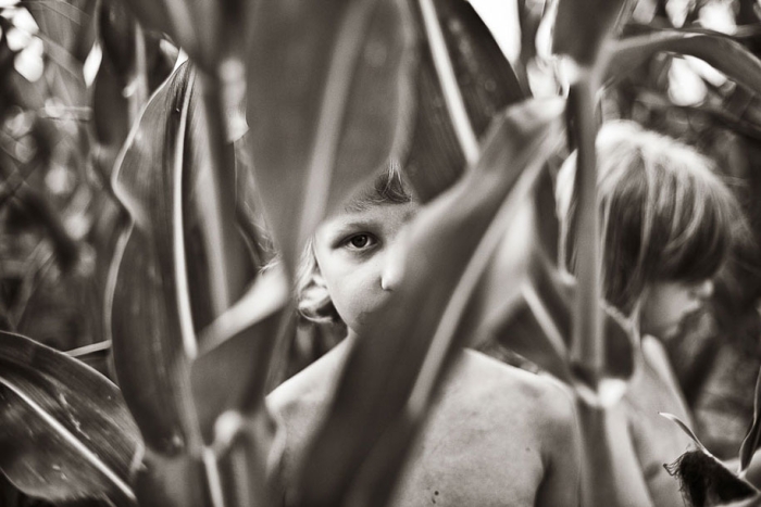 summertime-countryside-children-photography-izabela-urbaniak-8