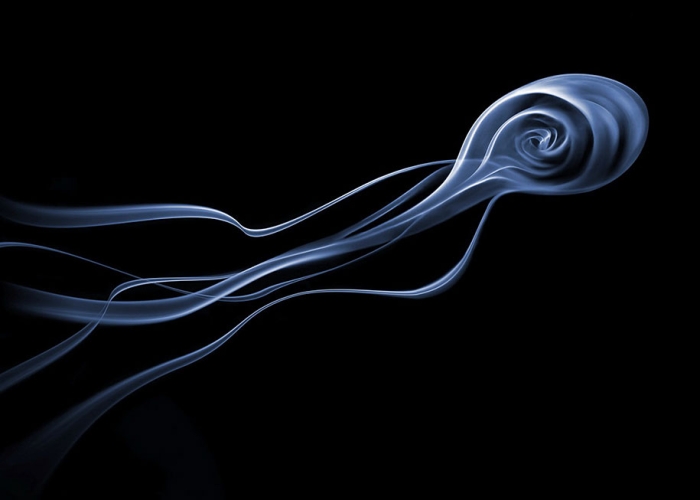 smoke-photography-thomas-herbrich-3