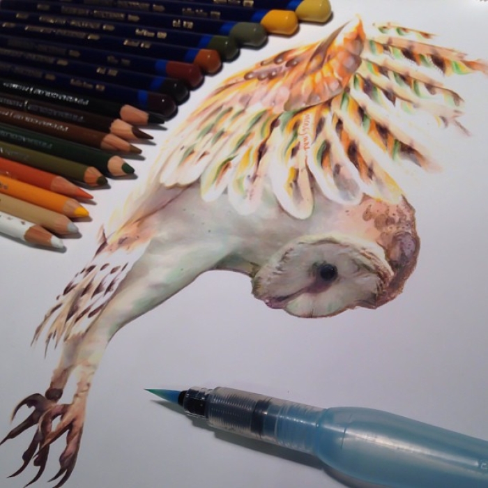 mixed-media-realistic-drawings-karla-mialynne-16