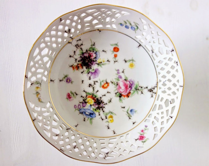 ant-ceramics-vintage-porcelain-evelyn-bracklow-12