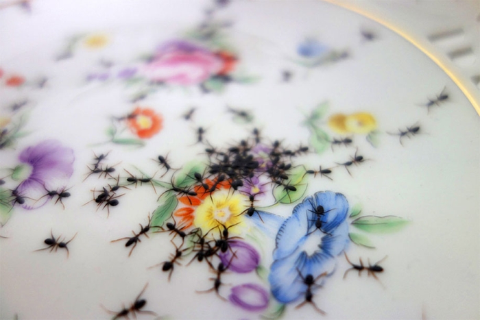ant-ceramics-vintage-porcelain-evelyn-bracklow-1