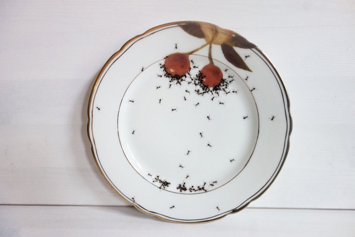 ant-ceramics-vintage-porcelain-evelyn-bracklow-10