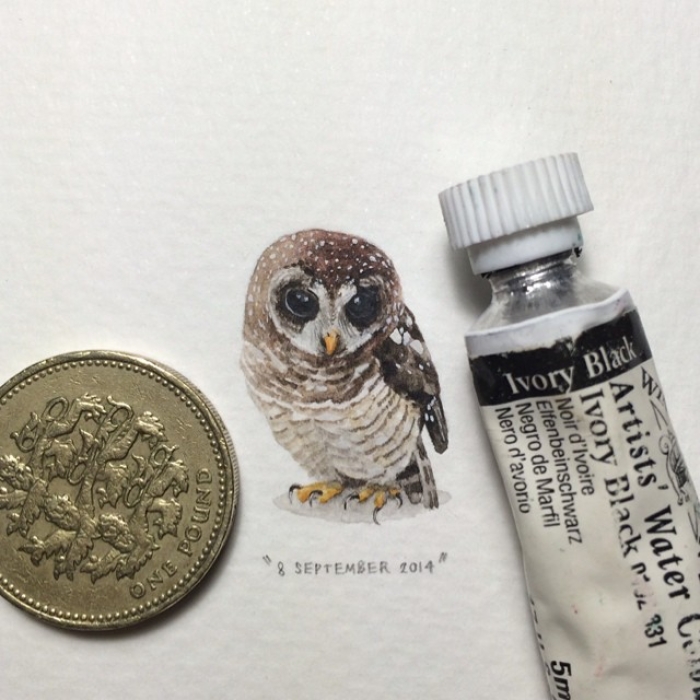 postcards-for-ants-miniature-paintings-lorraine-loots-2