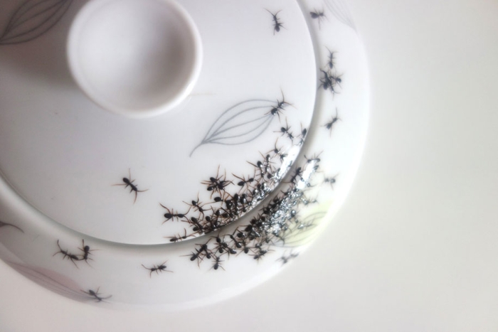 ant-ceramics-vintage-porcelain-evelyn-bracklow-4