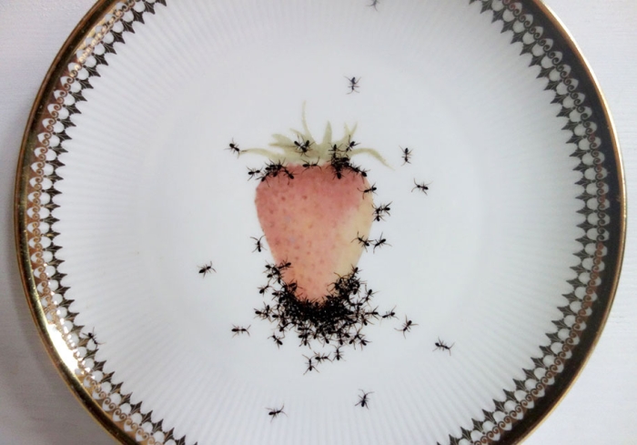 ant-ceramics-vintage-porcelain-evelyn-bracklow-9