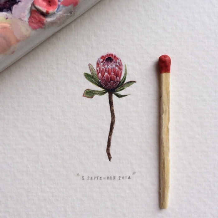 postcards-for-ants-miniature-paintings-lorraine-loots-6