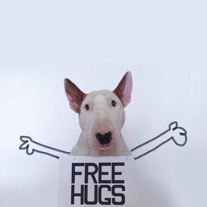 jimmy-choo-bull-terrier-interactive-illustrations-rafael-mantesso-8