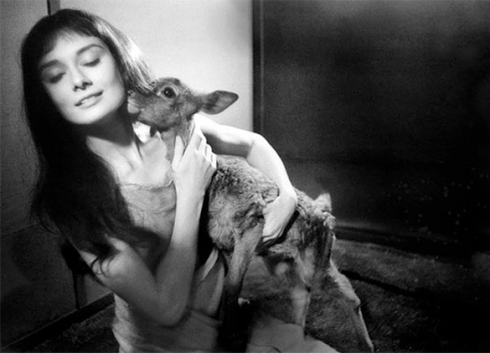 historic-photography-rare-audrey-hepburn-7