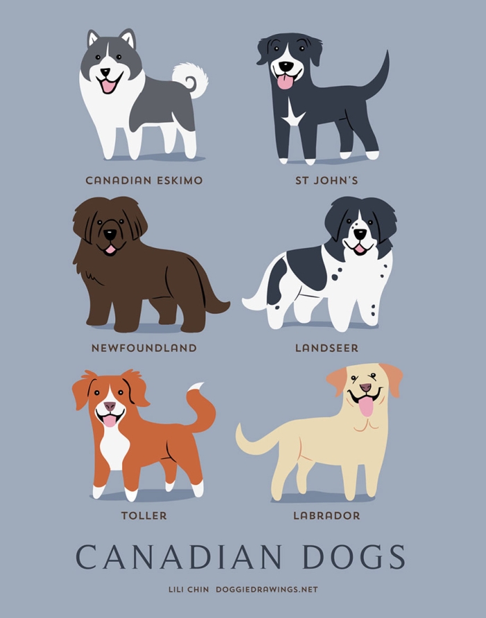 dogs-of-the-world-breeds-posters-lili-chin-1