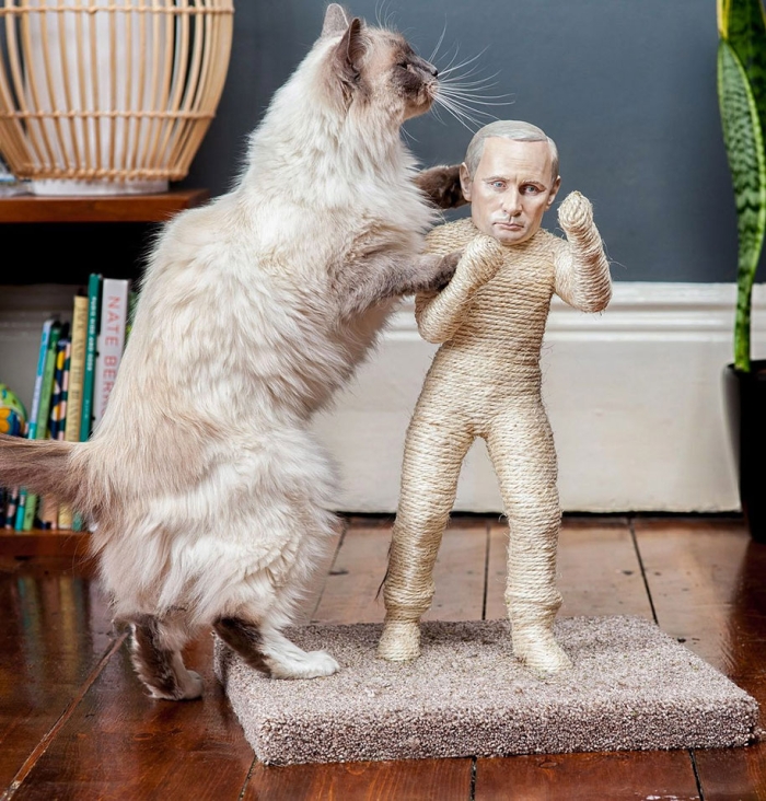 putin-kim-jong-un-cat-scratching-posts-protest-pussycat-riot-3