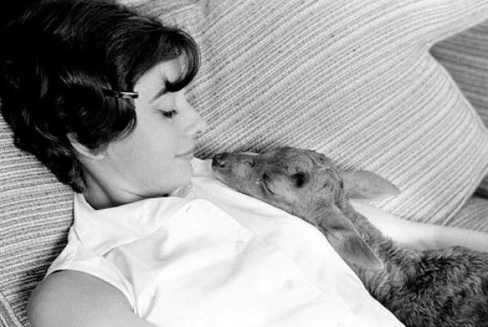 historic-photography-rare-audrey-hepburn-11
