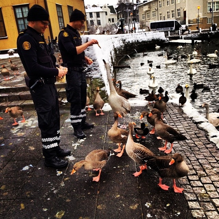 reykjavik-police-logreglan-instagram-iceland-8