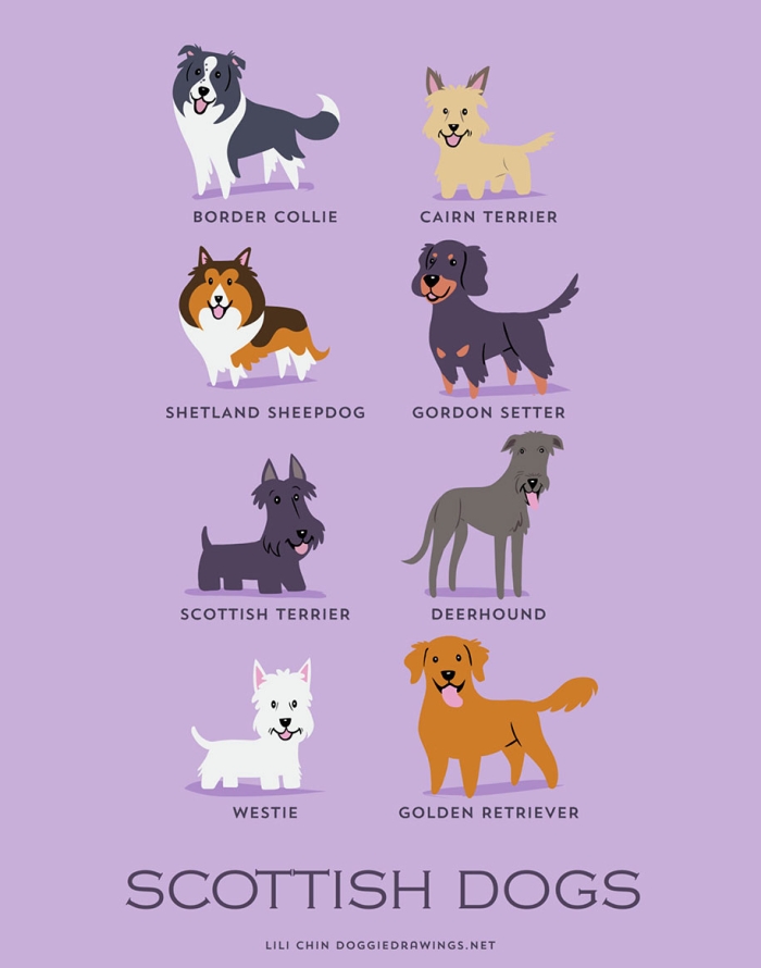dogs-of-the-world-breeds-posters-lili-chin-3